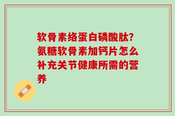 软骨素络蛋白磷酸肽？氨糖软骨素加钙片怎么补充关节健康所需的营养