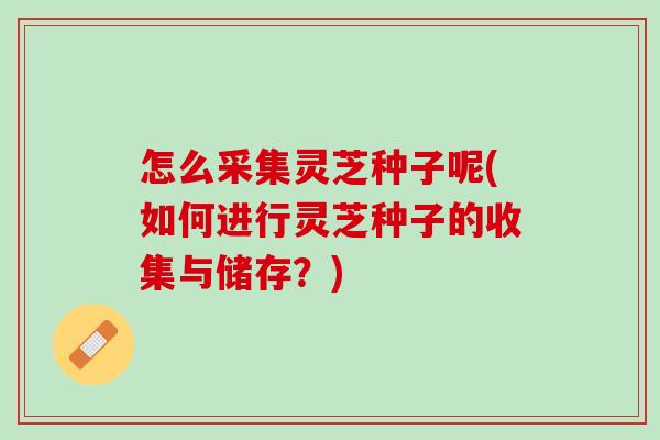 怎么采集灵芝种子呢(如何进行灵芝种子的收集与储存？)
