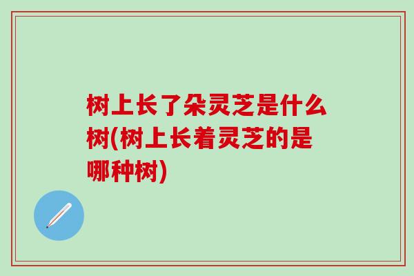 树上长了朵灵芝是什么树(树上长着灵芝的是哪种树)