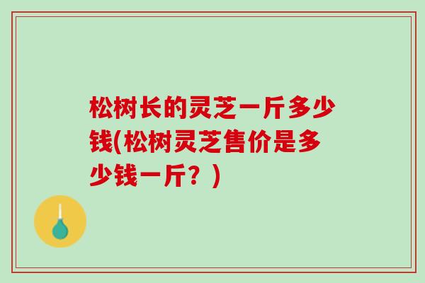 松树长的灵芝一斤多少钱(松树灵芝售价是多少钱一斤？)
