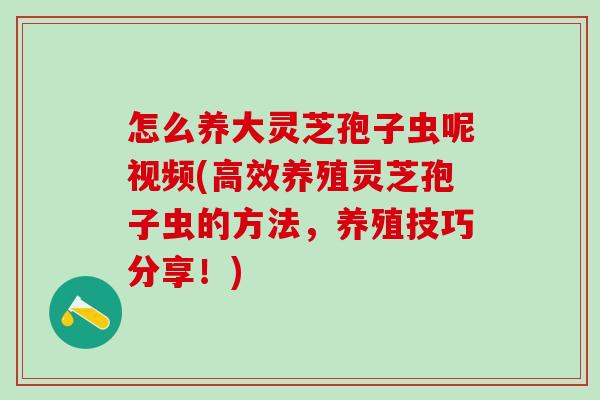 怎么养大灵芝孢子虫呢视频(高效养殖灵芝孢子虫的方法，养殖技巧分享！)