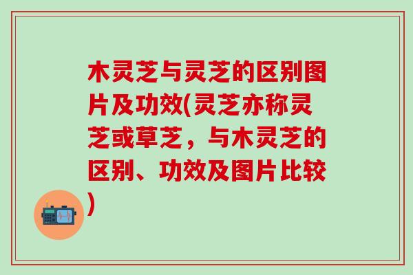 木灵芝与灵芝的区别图片及功效(灵芝亦称灵芝或草芝，与木灵芝的区别、功效及图片比较)