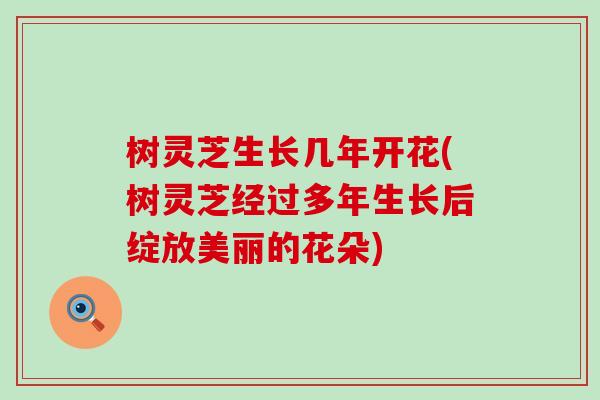 树灵芝生长几年开花(树灵芝经过多年生长后绽放美丽的花朵)
