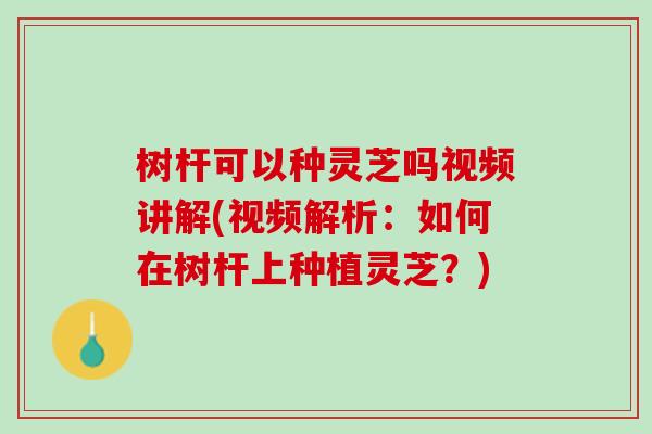 树杆可以种灵芝吗视频讲解(视频解析：如何在树杆上种植灵芝？)