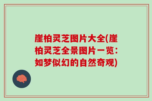 崖柏灵芝图片大全(崖柏灵芝全景图片一览：如梦似幻的自然奇观)