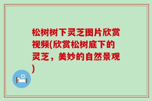 松树树下灵芝图片欣赏视频(欣赏松树底下的灵芝，美妙的自然景观)