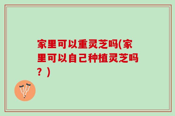 家里可以重灵芝吗(家里可以自己种植灵芝吗？)