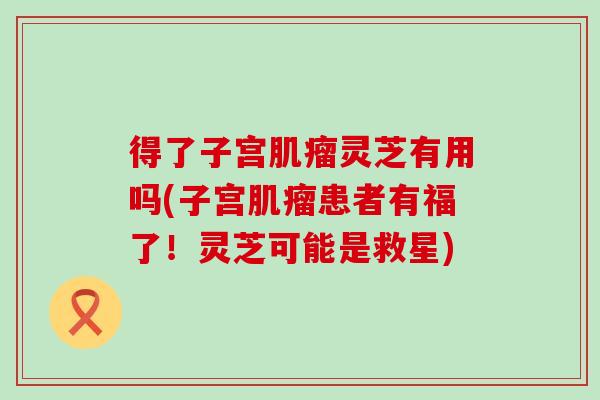 得了子宫灵芝有用吗(子宫患者有福了!灵芝可能是救星) 得了子宫灵芝有用吗(子宫患者有福了!灵芝可能是救星)