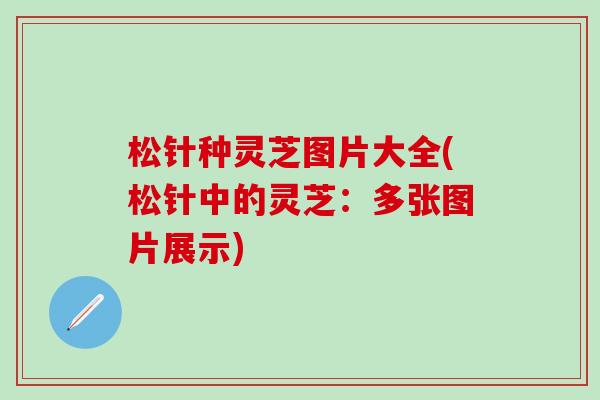 松针种灵芝图片大全(松针中的灵芝：多张图片展示)