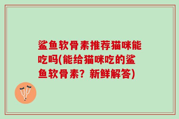 鲨鱼软骨素推荐猫咪能吃吗(能给猫咪吃的鲨鱼软骨素？新鲜解答)