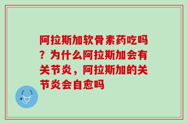 阿拉斯加软骨素药吃吗？为什么阿拉斯加会有关节炎，阿拉斯加的关节炎会自愈吗