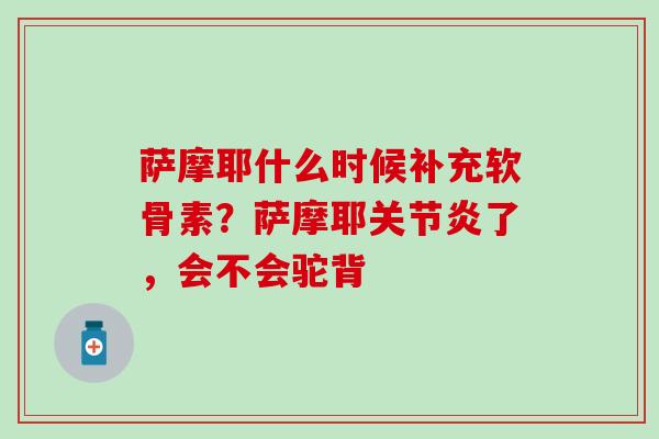 萨摩耶什么时候补充软骨素？萨摩耶关节炎了，会不会驼背