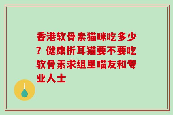 香港软骨素猫咪吃多少？健康折耳猫要不要吃软骨素求组里喵友和专业人士