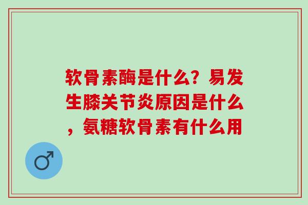 软骨素酶是什么？易发生膝关节炎原因是什么，氨糖软骨素有什么用