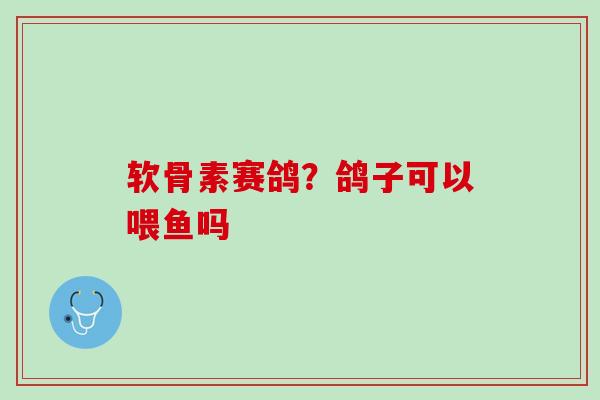 软骨素赛鸽？鸽子可以喂鱼吗