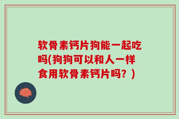 软骨素钙片狗能一起吃吗(狗狗可以和人一样食用软骨素钙片吗？)