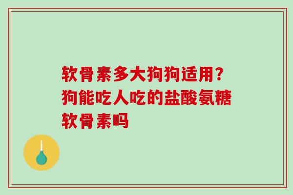 软骨素多大狗狗适用?狗能吃人吃的盐酸氨糖软骨素吗 软骨素多大狗狗适用?狗能吃人吃的盐酸氨糖软骨素吗