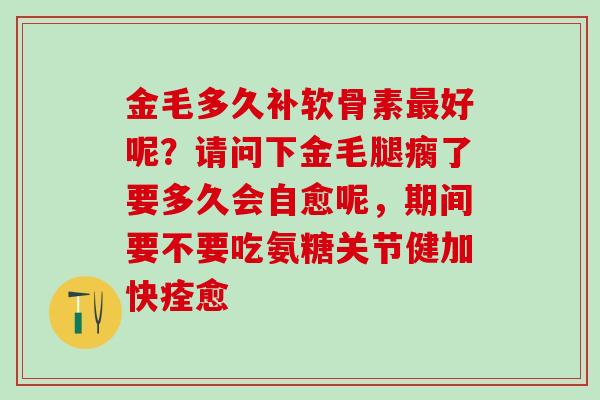 金毛多久补软骨素最好呢？请问下金毛腿瘸了要多久会自愈呢，期间要不要吃氨糖关节健加快痊愈