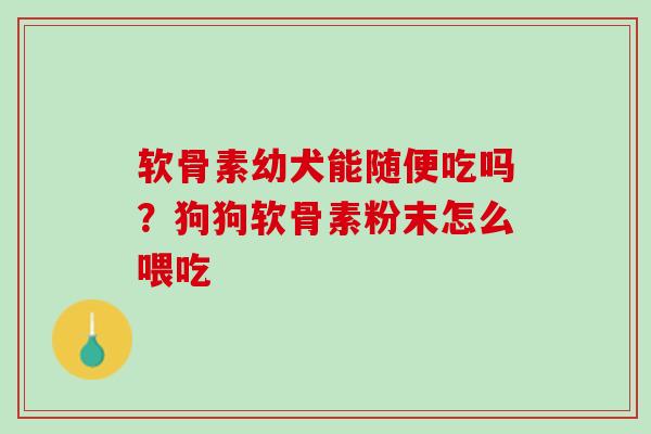 软骨素幼犬能随便吃吗？狗狗软骨素粉末怎么喂吃