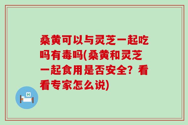 桑黄可以与灵芝一起吃吗有毒吗(桑黄和灵芝一起食用是否安全？看看专家怎么说)