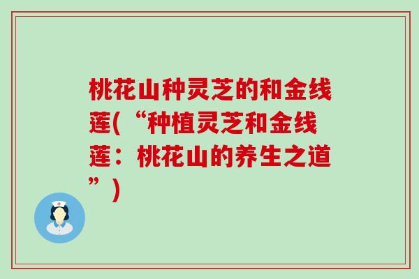 桃花山种灵芝的和金线莲(“种植灵芝和金线莲：桃花山的养生之道”)