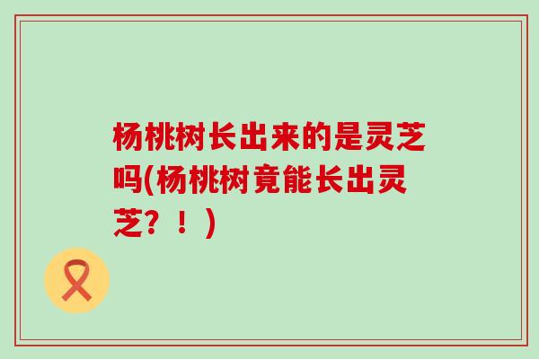 杨桃树长出来的是灵芝吗(杨桃树竟能长出灵芝？！)