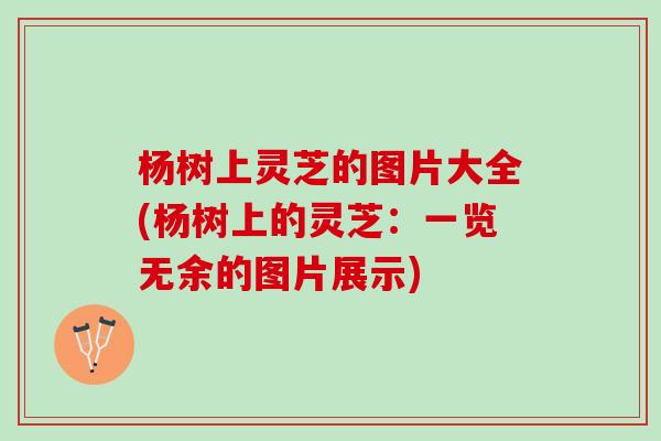 杨树上灵芝的图片大全(杨树上的灵芝：一览无余的图片展示)