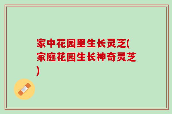 家中花园里生长灵芝(家庭花园生长神奇灵芝)