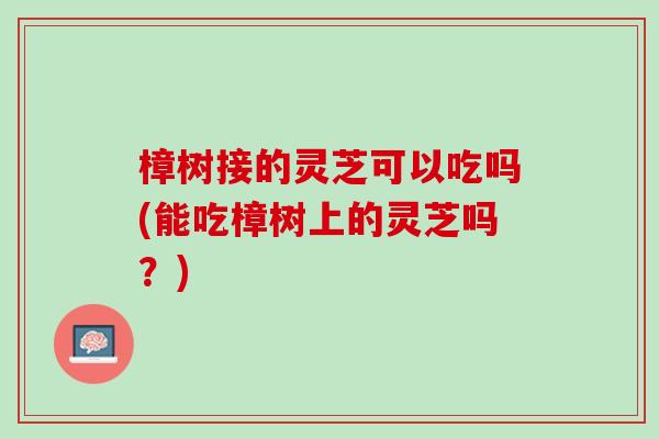 樟树接的灵芝可以吃吗(能吃樟树上的灵芝吗？)