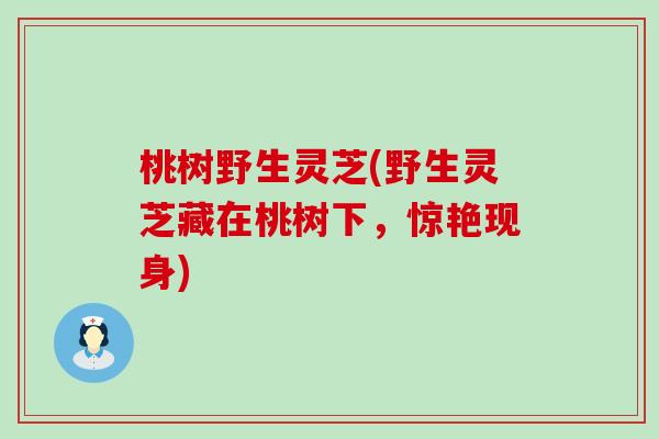 桃树野生灵芝(野生灵芝藏在桃树下，惊艳现身)
