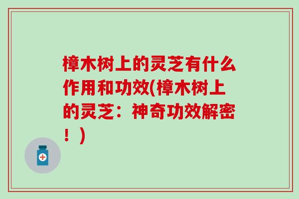 樟木树上的灵芝有什么作用和功效(樟木树上的灵芝：神奇功效解密！)
