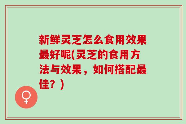 新鲜灵芝怎么食用效果最好呢(灵芝的食用方法与效果，如何搭配最佳？)