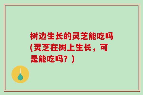 树边生长的灵芝能吃吗(灵芝在树上生长，可是能吃吗？)