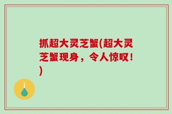 抓超大灵芝蟹(超大灵芝蟹现身，令人惊叹！)