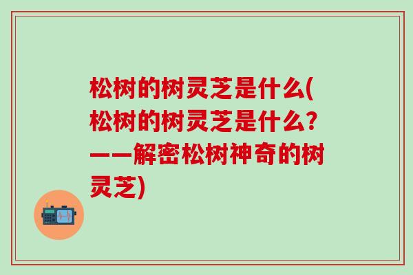 松树的树灵芝是什么(松树的树灵芝是什么？——解密松树神奇的树灵芝)