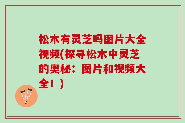 松木有灵芝吗图片大全视频(探寻松木中灵芝的奥秘：图片和视频大全！)