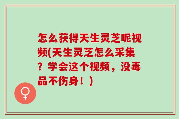 怎么获得天生灵芝呢视频(天生灵芝怎么采集？学会这个视频，没毒品不伤身！)