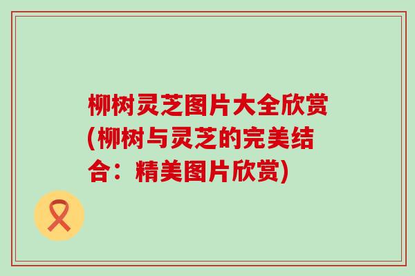 柳树灵芝图片大全欣赏(柳树与灵芝的完美结合：精美图片欣赏)