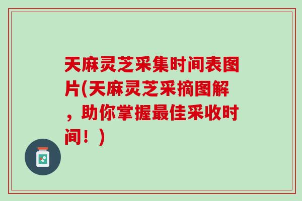 天麻灵芝采集时间表图片(天麻灵芝采摘图解，助你掌握最佳采收时间！)