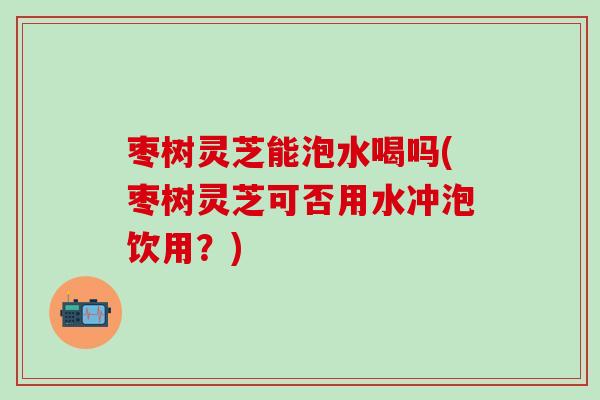 枣树灵芝能泡水喝吗(枣树灵芝可否用水冲泡饮用？)