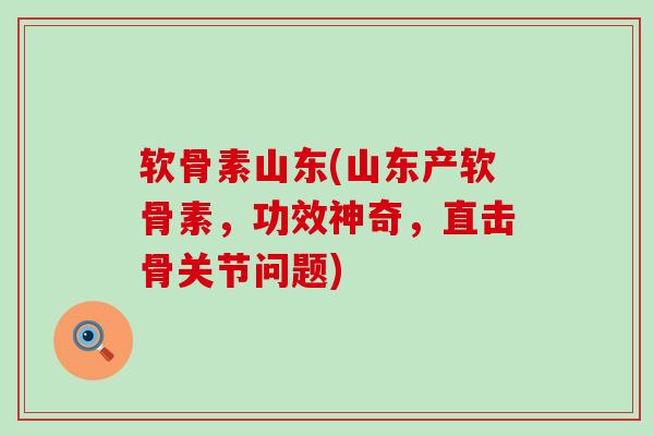 软骨素山东(山东产软骨素，功效神奇，直击骨关节问题)