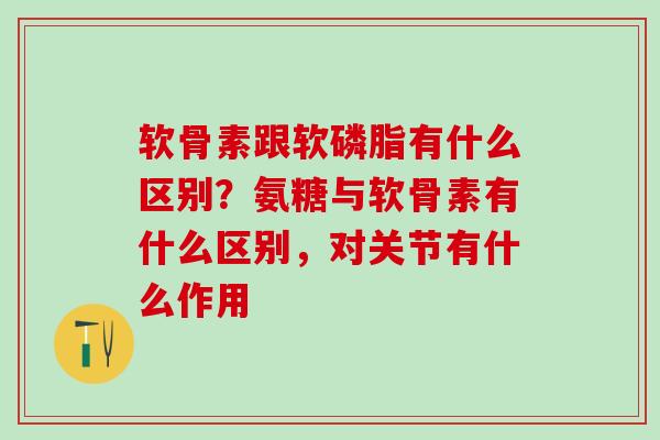 软骨素跟软磷脂有什么区别？氨糖与软骨素有什么区别，对关节有什么作用