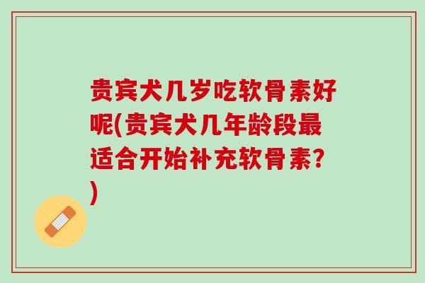 贵宾犬几岁吃软骨素好呢(贵宾犬几年龄段最适合开始补充软骨素？)