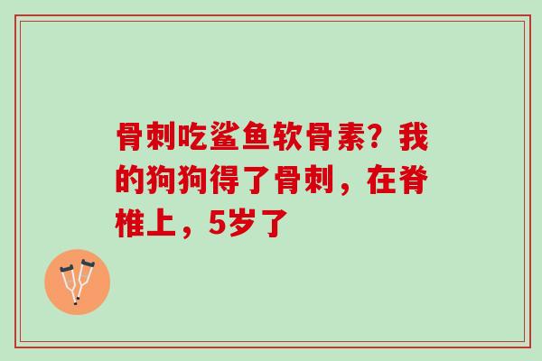 骨刺吃鲨鱼软骨素？我的狗狗得了骨刺，在脊椎上，5岁了