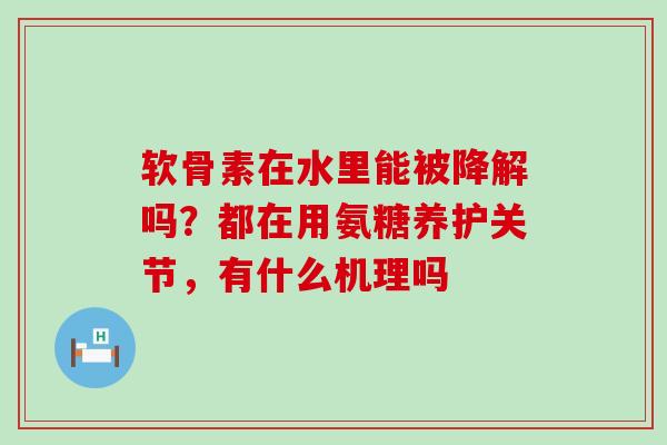 软骨素在水里能被降解吗？都在用氨糖养护关节，有什么机理吗