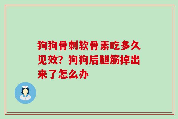 狗狗骨刺软骨素吃多久见效？狗狗后腿筋掉出来了怎么办