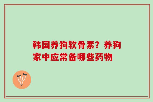 韩国养狗软骨素？养狗家中应常备哪些药物