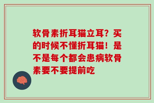 软骨素折耳猫立耳？买的时候不懂折耳猫！是不是每个都会患病软骨素要不要提前吃