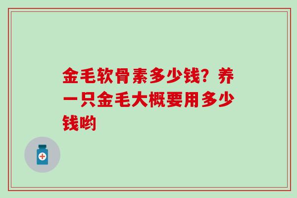 金毛软骨素多少钱？养一只金毛大概要用多少钱哟