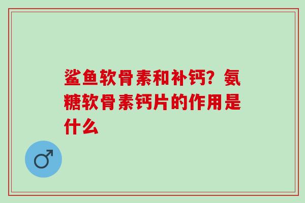 鲨鱼软骨素和补钙？氨糖软骨素钙片的作用是什么